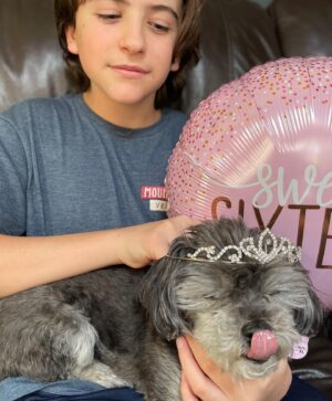 Jack Messina Instagram - Happy birthday Cookie on #nationalpetday 🐾#sweet16 #bigsister 🎂