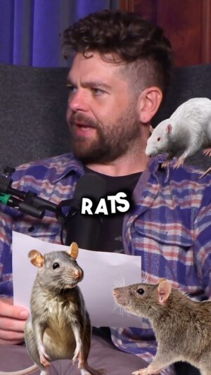 Jack Osbourne Instagram - The ultimate fear? Missing out on joining our wild family at osbournemediahouse.com! Don’t let FOMO get the best of you – become a member now for exclusive perks, early access, and non-stop excitement.
Join the party and become a member at osbournemediahouse.com!