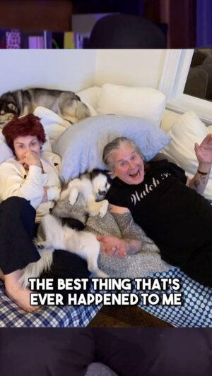 Jack Osbourne Instagram - Alright, folks, don’t hit snooze on this one! It’s the drop of a brand spanking new episode of the Osbournes podcast! Kelly’s going on about her weird habit of sleeping with the dogs, and you know Dad’s gonna be his usual sarcastic self.
Don’t miss it! New Ep. OUT NOW Youtube, Rumble or wherever you get your podcasts.