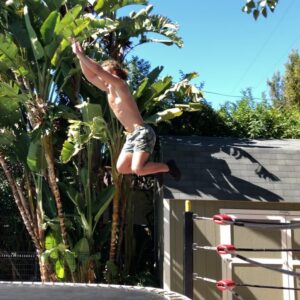 Jack Perry Instagram - Me: alright guys, let’s not jump to conclusions. 
My friends:
 .
 .
#springboard #trampoline #flips