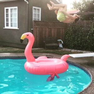 Jack Perry Instagram - One winged flamingo. 
#gainer