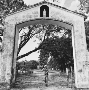 Jackson Gallagher Instagram - Spending the next week photographing Campistas (Nicaraguan Cowboys) in Chontales. First stop a 400 year Hacienda, Ato Grande. 🐴
#visitnicaragua