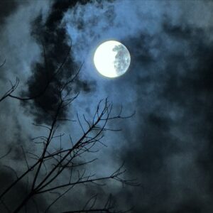 Jade Sakori Instagram - My bloody moon 🌙 
Taken by Me
#iphone15promax