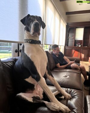 Jake Busey Instagram - This weekend come meet me and #kalithewonderdog at @contropolis_nj the coolest fan convention happening in New Jersey this weekend!! #starshiptroopers, #contact, #thefrighteners, #strangerthings3 , #the_predator_2018 (fewer than 100 posts) and a myriad of other films I’ve been in. I’ll also be signing my #funkopop #acelevy figurine.