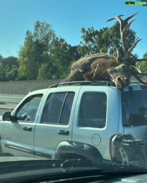 Jake Busey Instagram - The 101N was interesting today….