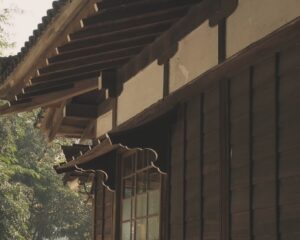 Jake Hsu Instagram - 我最愛的十二月走到尾聲了，今天聖的是自己的誕了。今年很奢侈的去了兩趟旅行，很珍惜地在過十二月的每一天。很珍惜地逛京阪神找到的每一家小店，吃到的每一份餐點。我最喜歡參訪有歷史痕跡的城市，也很愉快的在雞肉飯馬拉松吃下每一碗雞肉飯，很多人說我沒吃到的那家最好吃！（許多人表示就是三禾，請各位務必還是要告訴我哪一家最好吃！

明明告別二十代已經是兩三年前的事情，但怎麼還是覺得像昨天一樣！不過趁著有力氣，懷抱幹勁的過著每一年也不錯。除了戲劇工作持續努力之外（即將問世的《商魂》及《妳是我的姐妹》還請務必收看），今年的挑戰，有以驚嘆號結束的驚奇之旅，也有非常快樂的特派任務，我很感謝。

我希望明年繼續是一個充滿挑戰的一年，我會像勇者一樣再次從初心者村出發，一路召集夥伴，直至挑戰魔王。（雖然一月初馬上就有已知的魔王要襲來ʘ‿ʘ;

我希望明年的自己一樣好奇、熱情、勇敢，一樣雅撒蜥蜴（やさしい）。一樣目光如炬帶自己去想去的地方，同時一樣記得看沿途風景。生日快樂！新年快樂！また来年！