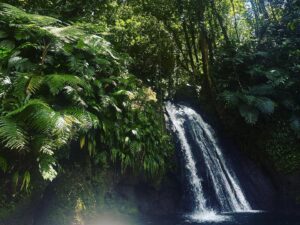 Jakub Štáfek Instagram - Guadeloupe. Malebný ostrov. Karibik. Francouzský department 🇫🇷 400tis obyvatel. Všude blízko. Krásná příroda. Milí lidé. Doporučuji 👍 Konec hlášení! #guadeloupeisland #france🇫🇷 #island #caribbean #vacation #good #people #beautiful #nature #family #time