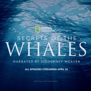 James Cameron Instagram - This #EarthDay, I’m excited to once again collaborate with Sigourney Weaver, @natgeo and @brianskerry to uncover the #SecretsOfTheWhales. Check it out today on @disneyplus! 
.
.
.
.
.
#ocean #sealife #whales #sigourneyweaver #jamescameron #disneyplus #natgeo #nationalgeographic #documentary #underwaterphotography #saveouroceans #planetearth #earthday #earthday2021