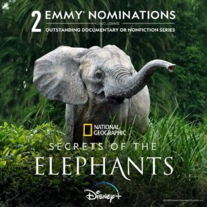 James Cameron Instagram - #SecretsOfTheElephants has been nominated for a #PrimeTimeEmmy for Outstanding Documentary or Nonfiction Series & Outstanding Cinematography in a Nonfiction Program! Congratulations to @drpaulakahumbu, @tobystrong1, @bobpoolefilms, @james__boon, and everyone else who helped bring this series to life! 🐘

@natgeotv @disneyplus