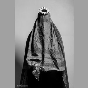 Jamshid Mahmoudi Instagram - ‎خورشید خانوم 
‎[شهیار قنبری]

‎خورشید خانوم 
‎چارقد مشکی نمی خواس
‎مثل شما با این سر و شکل و لباس
‎قپه‌ی نور ماه سبک تر از هواس
‎خورشید خانوم رهاتر از من و شماس
 
‎هر کی می خواد با کلاشی
‎سر کلاس نقاشی
‎پیرهن گلدار نکشیم
‎خاطره ی یار نکشیم
‎درخت سرباز نکشیم
‎بدتر از اون ساز نکشیم
 
‎باید بدونه عاقبت
‎دو بال پرواز می کشیم
‎درای این مدرسه رو
‎رنگی و دلباز می کشیم
‎رو کاغذای بی صدا
‎ساز می کشیم ، ساز می کشیم …
‎رو کاغذای بی صدا
‎ساز می کشیم ، ساز می کشیم …

‎ترانه: شهیار قنبری
@shahyarghanbari 

‎با صدای ابی
@ebi 

‎عکس از فتاح ذی نوری
@fattah.zinouri 

نام اثر
Sunflower