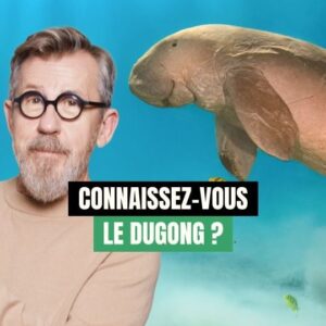 Jamy Gourmaud Instagram - Un mammifère marin particulièrement vulnérable face aux activités humaines 😥 Découvrons ensemble le dugong 🌊 
.
.
.
@wwffrance #Epicurieux #Jamy #vulgarisation #culturegenerale #nature #environnement #animaux #WWF #dugong