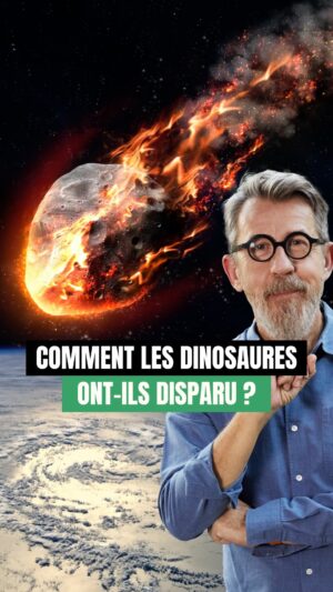 Jamy Gourmaud Instagram - L’impact d’une météorite aurait-il à lui seul causé la disparition de tous les dinosaures ?
.
.
.
@jamygourmaud #Epicurieux #Jamy #vulgarisation #culturegenerale #dinosaure