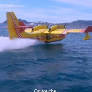 Jamy Gourmaud Instagram - ✈️ Impressionnant 🤓 Un Canadair largue 6 tonnes d'eau sur les flammes... en 2 secondes ! Et ce à tout juste 30 mètres au-dessus du sol ! 

🔥 Incendie, réchauffement, surexploitation :
🌳 comment sauver nos forêts ?
➡️ Suivez-moi dans @lemondedejamy, ce soir à 21.10 sur @france3 !