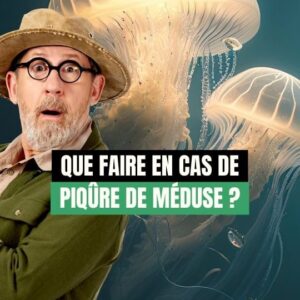 Jamy Gourmaud Top 100 Instagram Photos and Posts