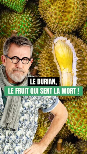 Jamy Gourmaud Instagram - En tout cas, vous pouvez être contents de ne pas sentir l’odeur de ce fruit à travers la vidéo… 🤢
.
.
.
#Epicurieux #vulgarisation #culturegenerale #jamy #insolite #fruit #durian