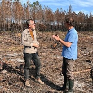Jamy Gourmaud Instagram - 🌳La nature est fascinante ! 🔥 Lors d'un incendie, les pommes de pins s'ouvrent et font tomber des graines... qui pourront donner jusqu'à 50 000 petits pins par hectare !

Mais comment sauver nos forêts ? Suivez-moi dans #LeMondeDeJamy, ce mercredi à 21.10 sur @france3 🤓