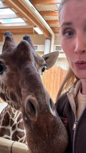 Jana Bernášková Instagram - Natáčení s žirafami je boží.❤️
@prima_zoo @janmansfeld 
#nataceni #thanks