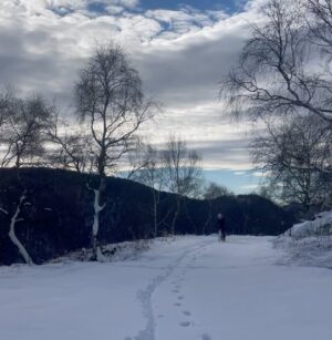 Jana Kesenheimer Instagram - What, you’re still cycling? - is a sentence I hear quite often lately. Indeed, I cycle less, and I run more (yes, run), and go skiing (both the thin and thick kind). 

Winter bikepacking, it must be admitted, is considerably less smooth than in the summer. Still, I’ve made it a tradition with Simone to be on the road for three days every winter. And, what can I say, we had to clean the bikes from the mud sometimes twice a day, but the Pistachio Dolci and the tired legs made us as happy as we’ve been in a long time. My face was red from the cold and sun on Monday. So worth it (also investing in waterproof winter cycling shoes…) 

#italjana (it’s me)
_____
W @i_like_the_long_way 
Ad @specializedde #iamspecialized #gravel #gravelbike @asssavers #snvl #cycling #bikepacking #winterwonderland #wintercycling #diverge #divergestr #dolci #cyclinglife #bike