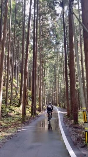 Jana Kesenheimer Instagram - From Konbini to Konbini crossing the Japanese main island in 40 seconds? Here you go - big in Japan… 

___
@japanese_odyssey 

Ad
@specializedde #iamspecialized 
@tailfincycling @evocsports @pi_rope @supernova__design 
#ultracycling #cycling #japan #bikepacking #japaneseodyssey #cyclingjapan #specialized #outdoor