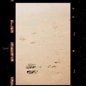 Jang Su-won Instagram - 폭풍 간지남 승윤아 노래넘좋네.
정규앨범발매 축하해 ㅎ

#강승윤 #KANGSEUNGYOON #1stFULLALBUM #PAGE #TITLE #아이야 #IYAH #MV #20210329 #OUTNOW #위너 #WINNER #YG