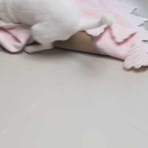 Jang Yeon-woo Instagram - 귀경길 조심..!