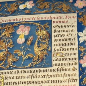 Janina Ramirez Instagram - Ahhhhhhhh…. This is a medievalists fantasy! So. Many. Beautiful. Books!! Was honoured to be invited to the opening of the Gifts and Books exhibition, expertly curated by Nicholas Perkins @bodleianlibraries . Also on display - Philip Pullman’s aletheometer, the Horn of Ulf, hand-embroidered cover from Elizabeth I to Katherine Parr, Tolkien’s drawing of Smaug and beautiful medieval illuminated manuscripts. Get thee to the Weston Library post haste!