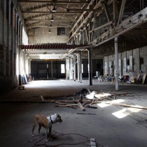 Janna Levin Instagram - "Peering through cracks in the boarded up windows, they could sense the potential but not exactly the original glory of the mid-1800’s warehouse, the former Pioneer Iron Works. The abandoned building was sealed off from all natural light but was oddly full of little shacks, a multitude of silos, as though symbolically, as though begging to be torn down in favor of the vision of a new interwoven community."

As our tenth year comes to an end, PW Broadcast Editor-in-Chief Janna Levin (@jannalevin) offers a beautiful remembering of the origins of Pioneer Works—and a toast to the future of this "wild dream." Read “Ten Years of Pioneer Works” now at the link in bio.
