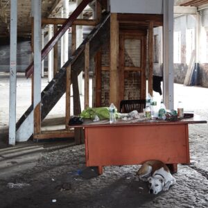 Janna Levin Instagram - "Peering through cracks in the boarded up windows, they could sense the potential but not exactly the original glory of the mid-1800’s warehouse, the former Pioneer Iron Works. The abandoned building was sealed off from all natural light but was oddly full of little shacks, a multitude of silos, as though symbolically, as though begging to be torn down in favor of the vision of a new interwoven community."

As our tenth year comes to an end, PW Broadcast Editor-in-Chief Janna Levin (@jannalevin) offers a beautiful remembering of the origins of Pioneer Works—and a toast to the future of this "wild dream." Read “Ten Years of Pioneer Works” now at the link in bio.