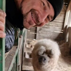 János Vadon Instagram - Reggeli a Bakonyban... 🥖 🐷=🥰
#vadonjani #vadonjanos #szőkemangalica #gyapjassertés #vanétvágy #szépalmapuszta #állatvédelem #ilovebakony @szepalma_hotel_menesbirtok