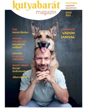 János Vadon Instagram - Ígérem egy ideig hanyagolni fogom a kutyás posztokat, de még egyet "muszáj" elsütnöm... 🤷‍♂️😄 Mert végre megjelent a Kutyabarát Magazin őszi száma, aminek a címlapján Tira és kedvenc fejtámasza van! 🐶👩‍🦲❤️🤗 Ha pedig belelapoztok az ingyenes magazinba, akkor találtok benne egy jó kis interjút is, amiben őszintén beszélek a kutyás élet örömeiről és küzdelmeiről egyaránt. Köszi ha elolvassátok! 🗞🙏😊
A magazin "lelőhelyeinek" listáját itt találjátok:
www.kutyabarát.hu/magazin
#vadonjani #vadonjanos #nagyinterjú #kutyabaratmagazin #ingyenesmagazin #chikanerikaphotography @kutyabarat @chikan_erika_photography @fruskatiruska