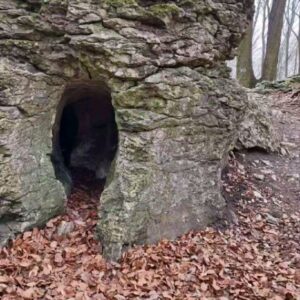 János Vadon Instagram - Voltunk pár napot a Bakonyban, ami minden évszakban más arcát mutatja és mindig tartogat számunkra új élményeket! 🌿☀️🍂❄️ Évek óta visszajárunk, de nem tudjuk megunni, egyszerűen imádjuk! 💯💚🐶👩🏻‍🦰👩‍🦲
#vadonjani #vadonjanos #ilovebakony #likaskő #pápalátókő #szépalmapuszta #kutyavalturazunk @szepalma_hotel_menesbirtok @fruskatiruska