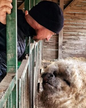János Vadon Instagram - Voltunk pár napot a Bakonyban, ami minden évszakban más arcát mutatja és mindig tartogat számunkra új élményeket! 🌿☀️🍂❄️ Évek óta visszajárunk, de nem tudjuk megunni, egyszerűen imádjuk! 💯💚🐶👩🏻‍🦰👩‍🦲
#vadonjani #vadonjanos #ilovebakony #likaskő #pápalátókő #szépalmapuszta #kutyavalturazunk @szepalma_hotel_menesbirtok @fruskatiruska
