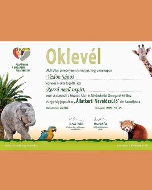 János Vadon Instagram - Ismét bővült a család, lett egy fiam is, Rezsőke a tapír! 🎉🎆🎊😄 Hála a Budapesti Állatkert örökbefogadási programjának, amin keresztül támogatni lehet az állatkert lakóinak gondozását, hogy hosszú, egészséges és nyugodt életet élhessenek! ❤️ Az örökbefogadott állatkákkal találkozni lehet az Állatkerti Nevelőszülők Találkozóján, ahol a gondozókkal is lehet beszélgetni a kis (vagy marha nagy... 🐘🐻🦏😁) kedvenc hogylétéről, mindennapjairól. Legyetek ti is nevelőszülők! 👍😊
@allatkerti_alapitvany
http://www.allatkertialapitvany.hu/
https://www.facebook.com/allatkertialapitvany
#vadonjani #vadonjanos #fogadjörökbeegyállatot #budapestiállatkert #fővárosiállatésnövénykert #tapír