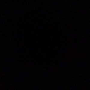 Jared Gilmore Instagram - black lives matter #blackouttuesday
