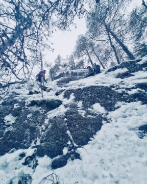 Jarppi Leppälä Instagram - Rauhoittumassa jouluun jätkien kans 🎅❄️
Suunniteltiin samalla vähä ens vuotta...
Kiitti @hawkhillnature kunnon puitteista. Jos oot vielä mökkiä vailla jouluks niin alle tunnin päästä Helsingistä oikeen tunnelmalliset puitteet 👌