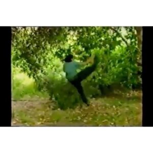 Jason David Frank Instagram - Who was a #vlogger in #1993 I was haha I always had a behind the scene camera .. Yes this kick is everywhere now but 1993 it was 🔥as I got older kick got better facts lol... see you tomorrow #mcallentx @kaboomcomicstx #powerrangers who can name this episode? 🔽
