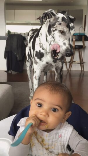 Jason Thompson Instagram - 