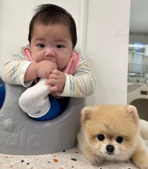 Jasson Instagram - 👼🏻❤️🐶