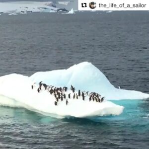 Javier Bardem Instagram - Increíble el color azul de este iceberg bajo el agua captado por @the_life_of_a_sailor, ¿verdad? Estas aguas están a -1°C, solo aptas para los pingüinos más fuertes!
・・・
#Repost @the_life_of_a_sailor ・・・
I don’t know how I made it but in this video is easy to see how is an iceberg underwater 👏🏻👏🏻 that blue color underwater is amazing , isn’t it?? 🤩🤩#iceberg #ice #antarctica #antarticexpedition #protectantarctica #sea