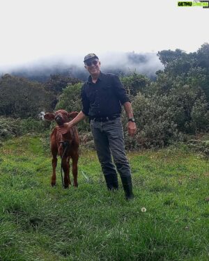 Javier Delguidice Instagram - Regreso al pasado.  Cuando era niñoi padre tenía cabezas de ganado y ver nacer y estar con las terneras era pasarse el día con ellas. Amo el campo!.