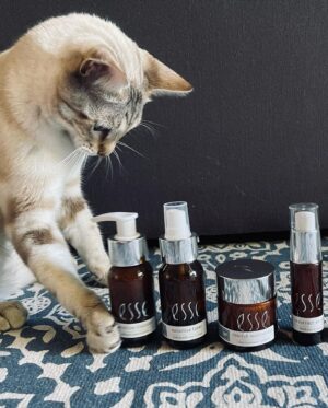 Jay Anstey Instagram - Something just for Mom.

My favourite skincare brand is doing a #30DayRewild month in Feb (my birthday month) So I’m joining them on this journey! 

I love skincare and more importantly the importance of microbiome and probiotics of the skin. I’ve always spoken about good gut health so it’s only fitting that I take it to the skin too! 

You can buy your own 30 day pack at an Esse Stockist (at 50% savings) and join me! And a huge bonus is that they’re vegan too!

I swear by this brand… so here’s to Happy rewilding! Will check in again in a few 👏🏼🥰 🍃 

#30DayRewild #rewilding #skincare #vegan #veganskincare