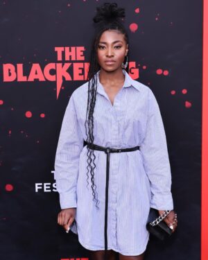 Jayme Lawson Instagram - Had a blast last night at #TheBlackening NY Premiere. Almost lost my voice laughing so much 😂😭. Absolute must see for the summer!!! Congrats to @timkstory and the cast. You’ve got a hit! 

#tribecafilmfestival 
#apollotheater