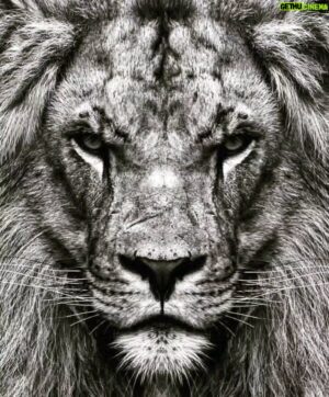Jayson Paul Instagram - Philosophys I wish I knew when I was younger. 
If you didn't have your Dad in you in your life, no excuse find a positive male mentor or find out the hard way. 
The jungle don't got sympathy for prey. 
KiIll or be KILLED. #Masculinitysaturday
#factsoverfeelings