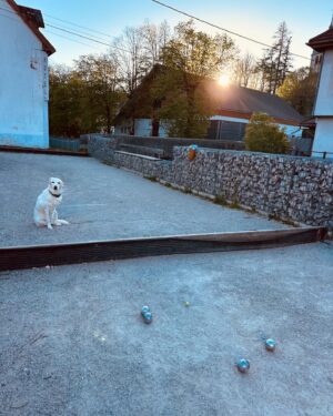 Jean-Luc Reichmann Instagram - 🐶 Donna a compté les points toute la journée 😝🙏
Bonne soirée à Toutoussss 🐾