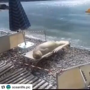 Jean-Michel Tinivelli Instagram - D après la météo il semblerait que la pluie fasse son grand retour semaine pro pour qqs jours donc profitez à fond de cette journée dominicale des bises et paix sur vous tous !  #dimanche#sunday#domenica#goodvibes#bonnejournee#goodday#buongiorno#peace#soleil#sole#creme#lunette#bob#sunny#sunnyday#cool#transat#chill#chillvibes#tranquille#south#aix#marseille#tournage#simoncoleman#tinivelli#actor#acting#❤️❤️❤️