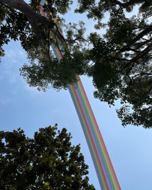 Jeff Garlin Instagram - Look at me, under the rainbow.