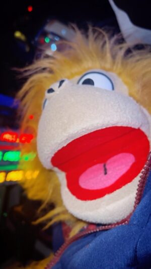 Jeff Panacloc Instagram - Voilà c’est gratos 😒 
En attendant rendez vous le 23 Décembre pour voir notre nouvelle aventure à 21h10 sur @tf1 !
Love You ❤️🙃

#nouveau #spectacle #rollercoaster #jeffpanacloc #jeffpanaclocadventure #ilestcontent #adventure 
Thanks @geromeenlive @tadico_events