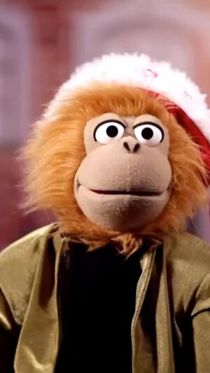 Jeff Panacloc Instagram - C’est bientôt le 23 décembre à 21h10 sur @tf1 ☺️
Qui viens au pied de notre sapin ?!
Love you ❤️🙃

#nouveau #spectacle #rollercoaster #jeffpanacloc #jeffpanaclocadventure #ilestcontent #adventure