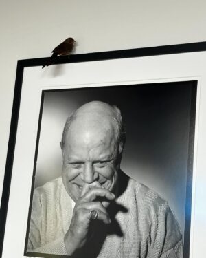 Jeff Ross Instagram - Don visited today ❤️🐦‍⬛