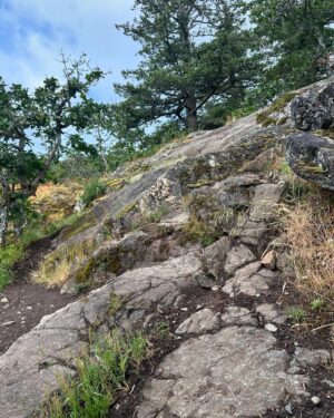 Jennifer Hale Instagram - the road less  and less  and less traveled 
to the top

#morning #outdoors #getoutside #dogsofinstagram